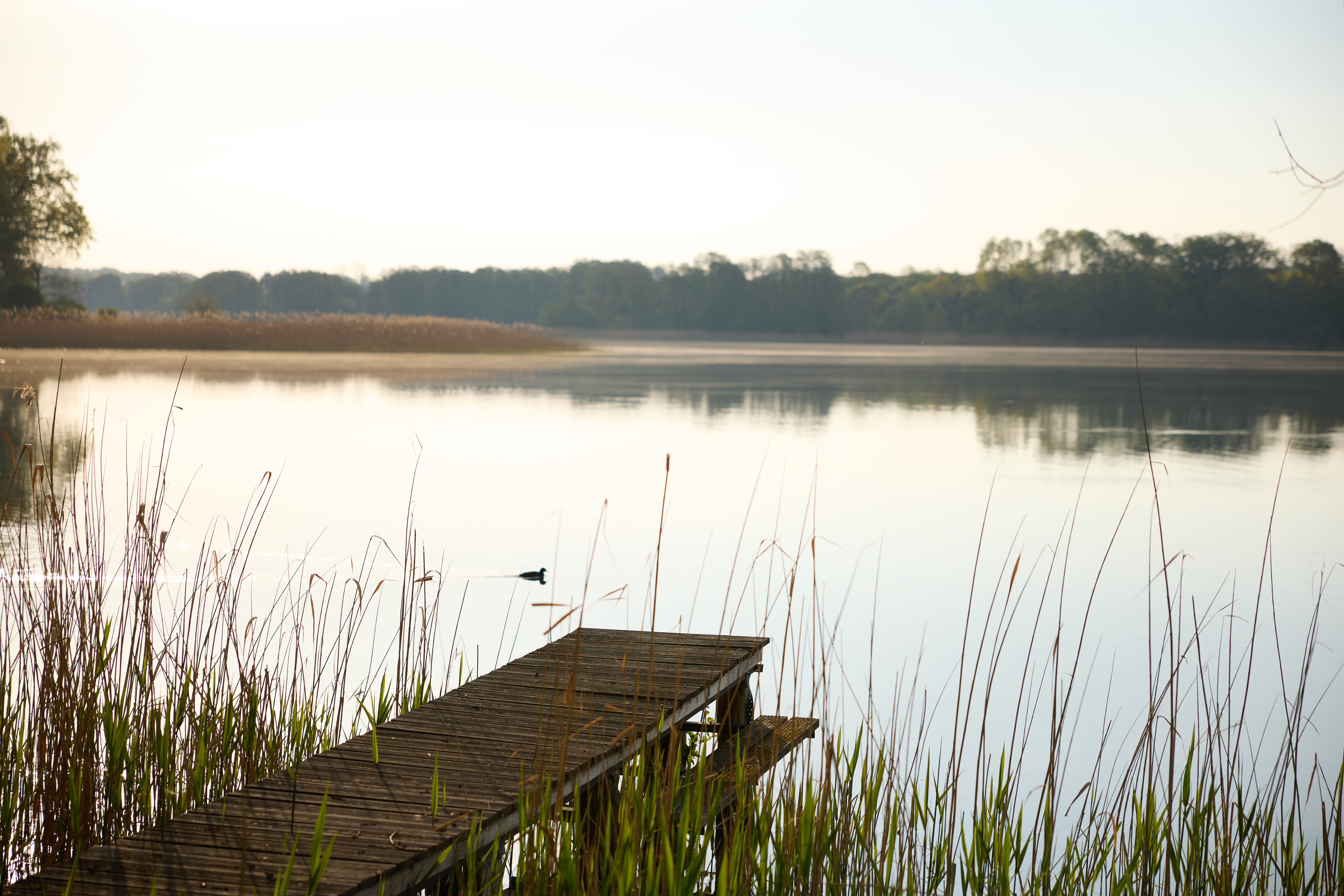 Camminer See – Morgenstimmung mit Steg